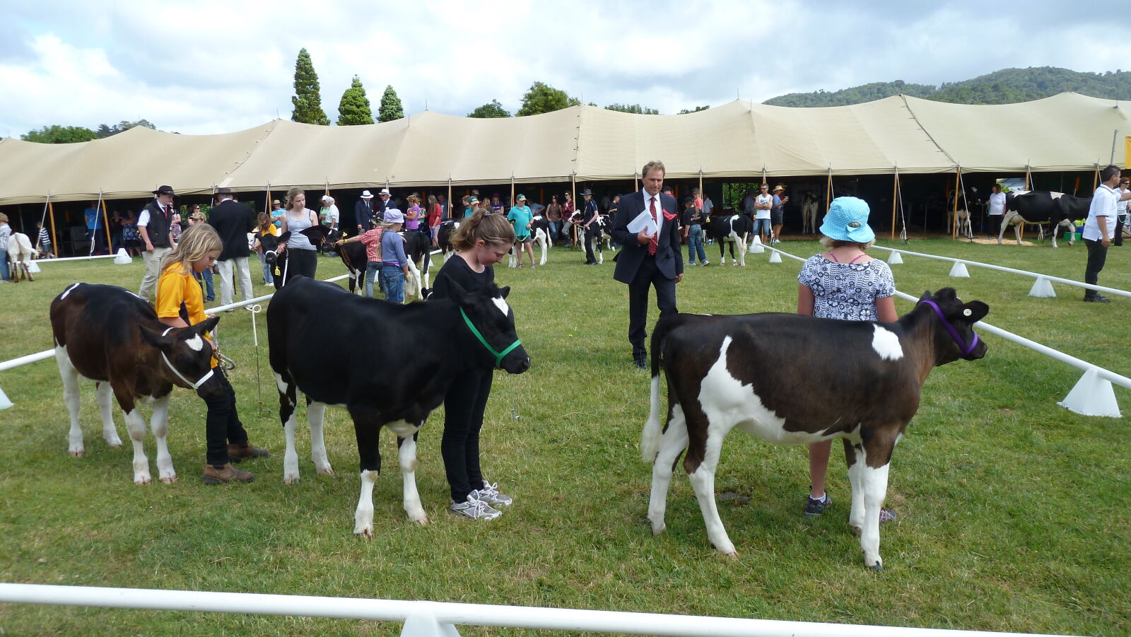 A&P Show Whangarei.