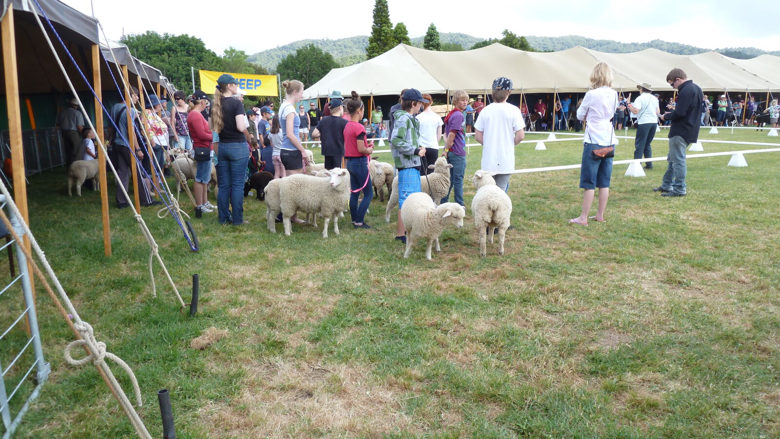 A&P Show Whangarei.