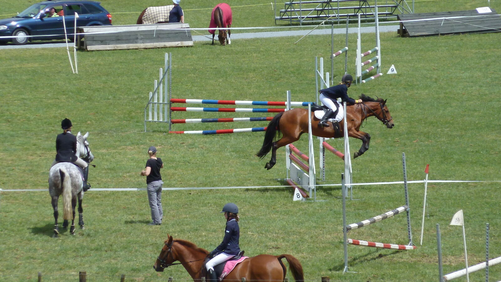 A&P Show Whangarei.