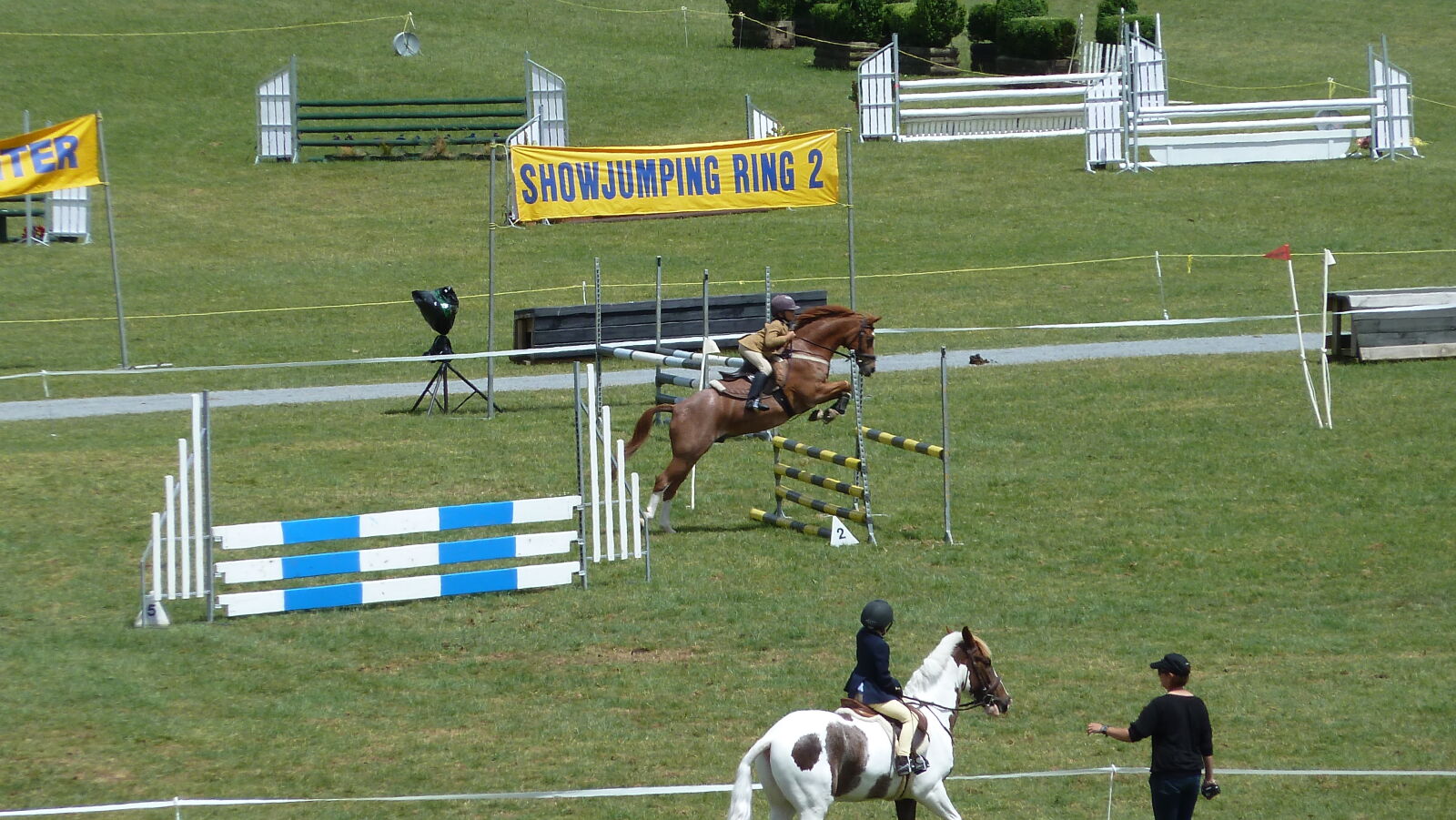 A&P Show Whangarei.