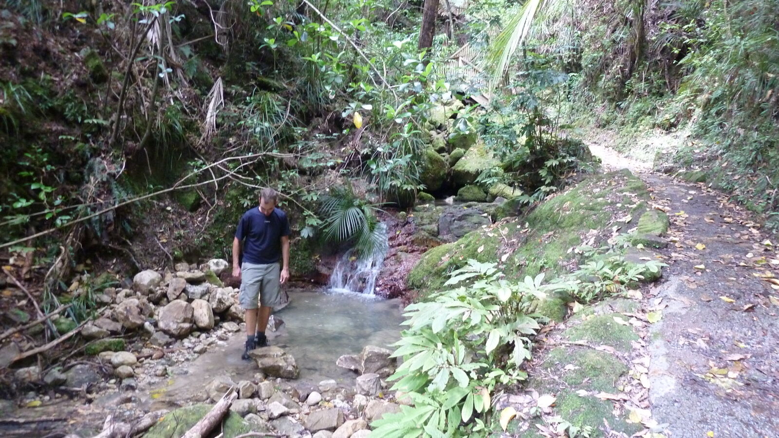 Mount Parihaka, Whangarei.