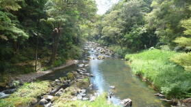 Hatea River Walk, Whangarei.