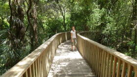 A H Reed Memorial Kauri Park.