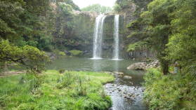 Whangarei Falls, Whangarei.