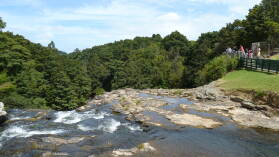 Whangarei Falls, Whangarei.