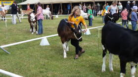 A&P Show Whangarei.