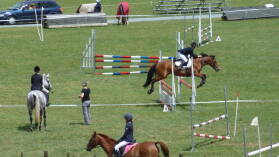 A&P Show Whangarei.