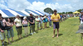Sheep Race auf der A&P Show Whangarei.