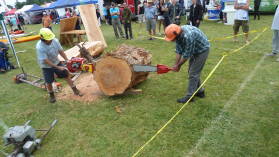 A&P Show Whangarei.