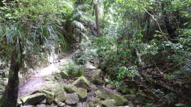 Mount Parihaka, Whangarei.