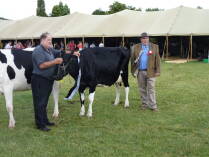 A&P Show Whangarei.