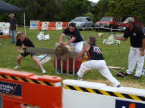 A&P Show Whangarei.