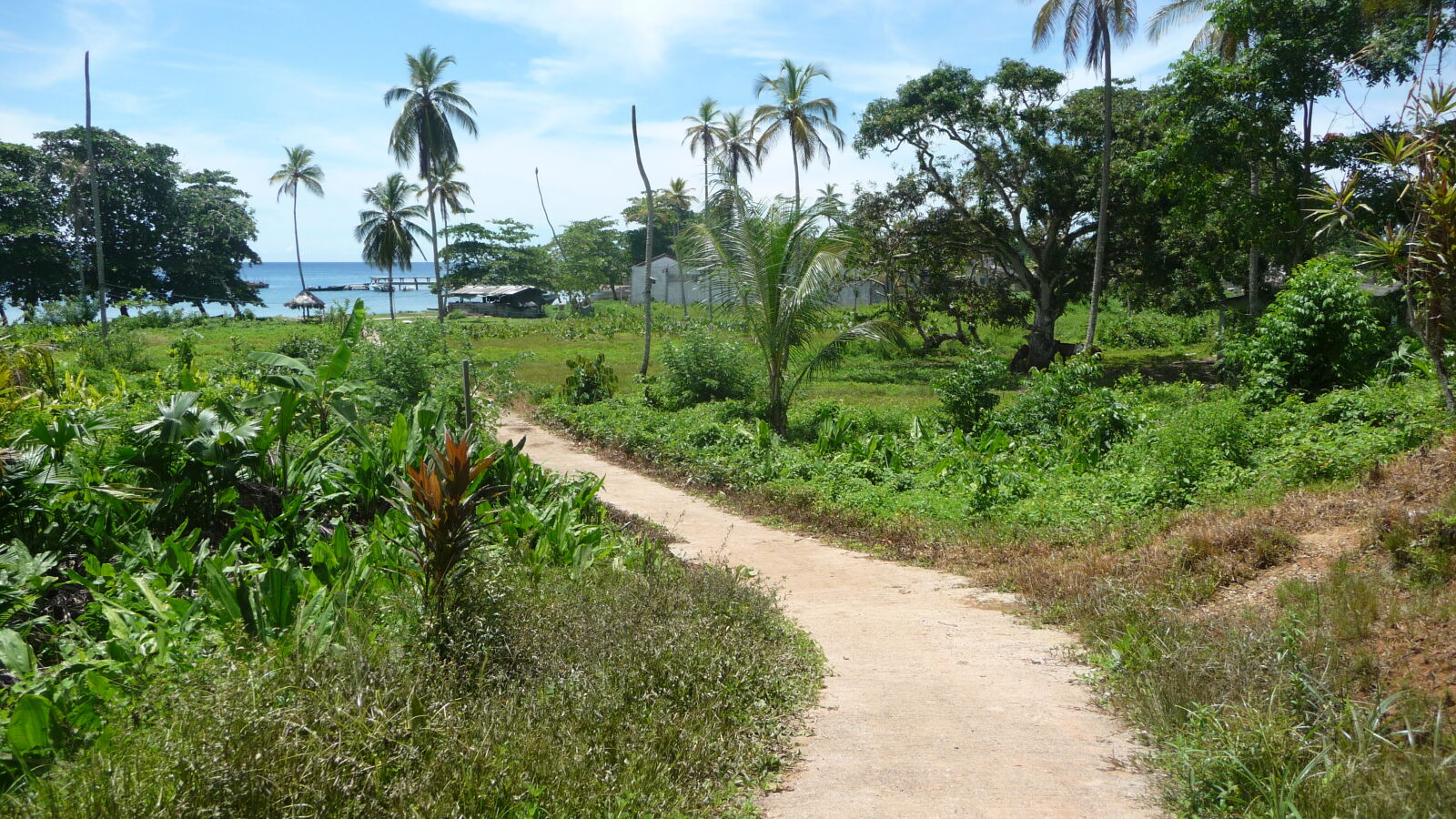Obaldia.