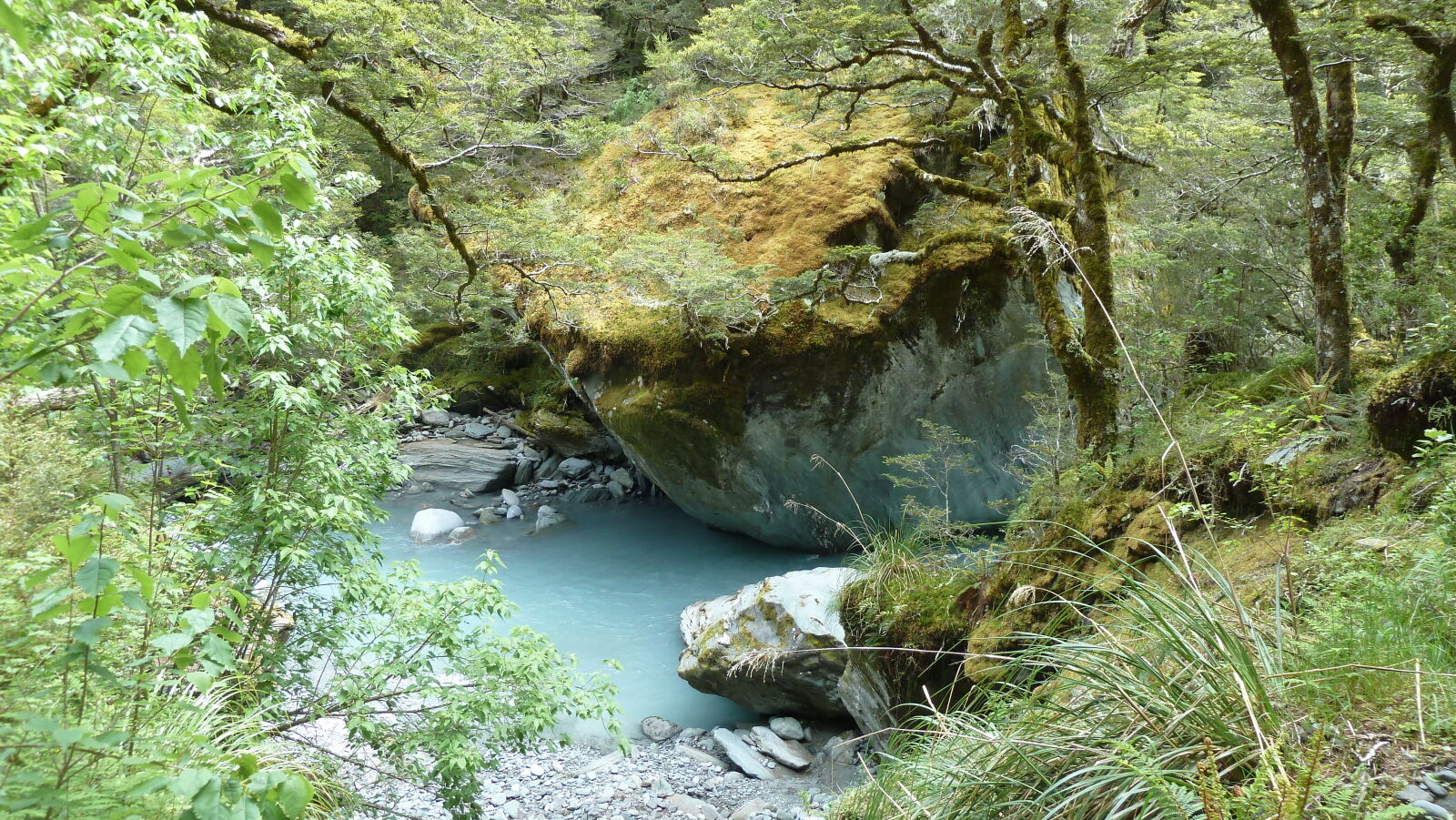 Rob Roy Valley Track.