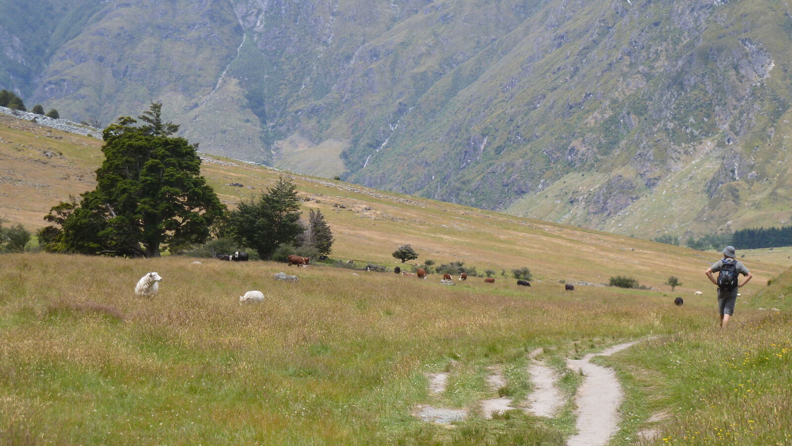 Rob Roy Valley Track.
