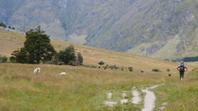 Rob Roy Valley Track.