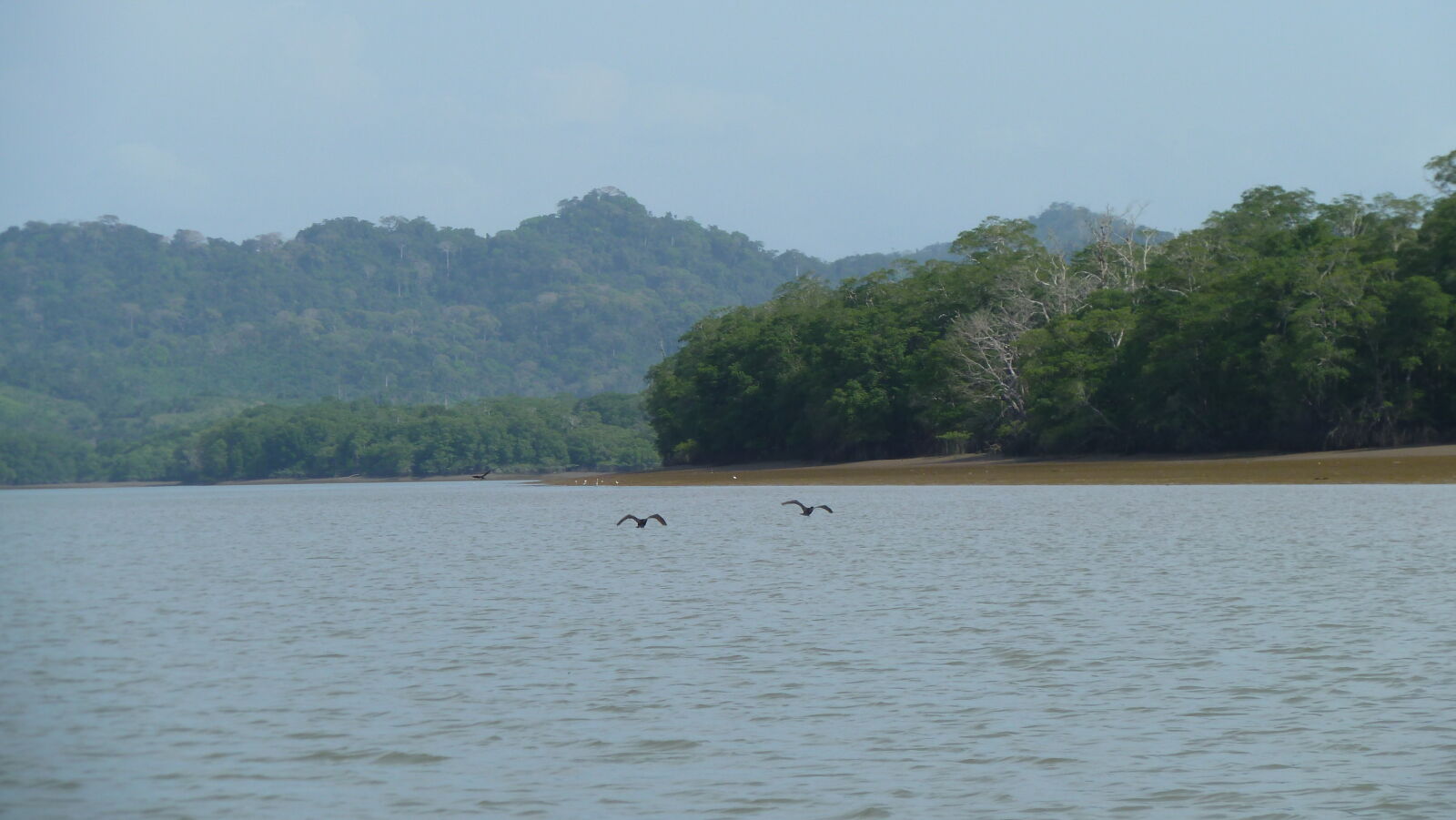 Ausflug im Rio Sabana, Darien.