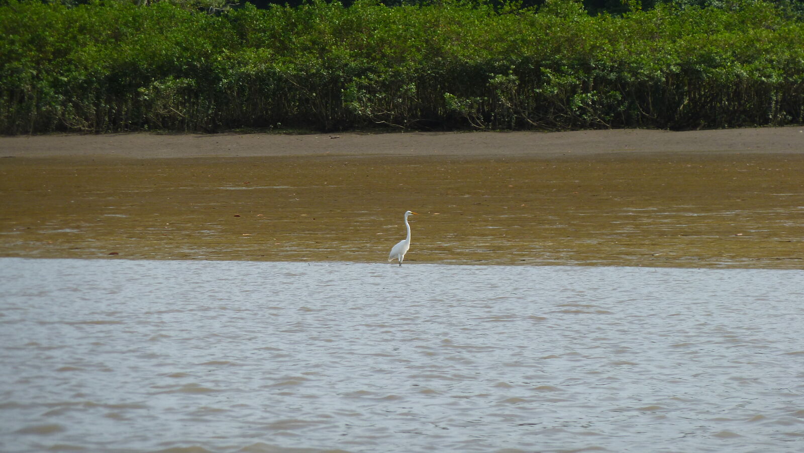 Ausflug im Rio Sabana, Darien.