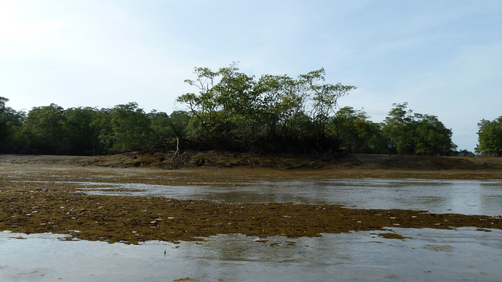 Ausflug im Rio Sabana, Darien.