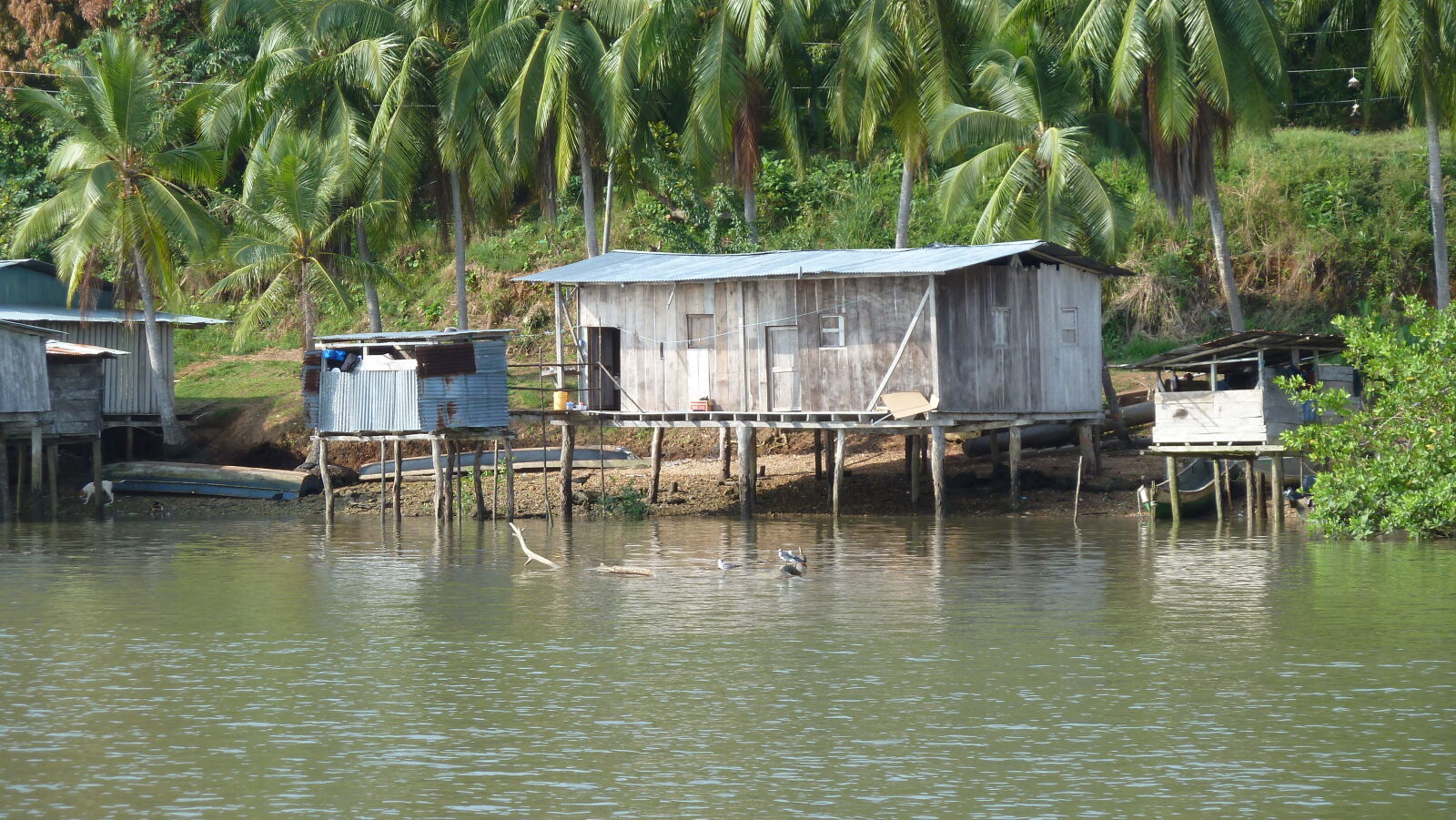 La Puntita, Rio Tuira, Darien.