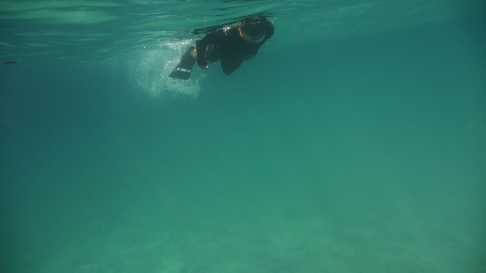 Schnorcheln bei Isla Cavada, Islas Secas.