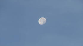 Mond.