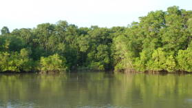 Rio Sabana, Darien.