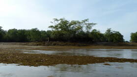 Ausflug im Rio Sabana, Darien.