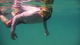 Schnorcheln bei Isla Cavada, Islas Secas.