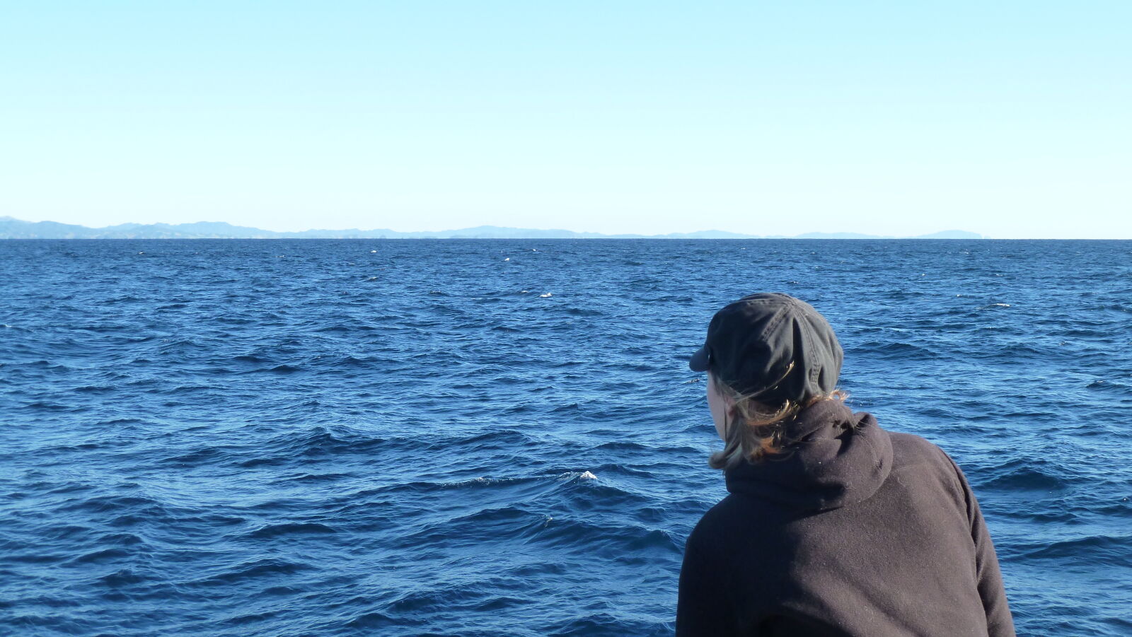 Whale watching.
