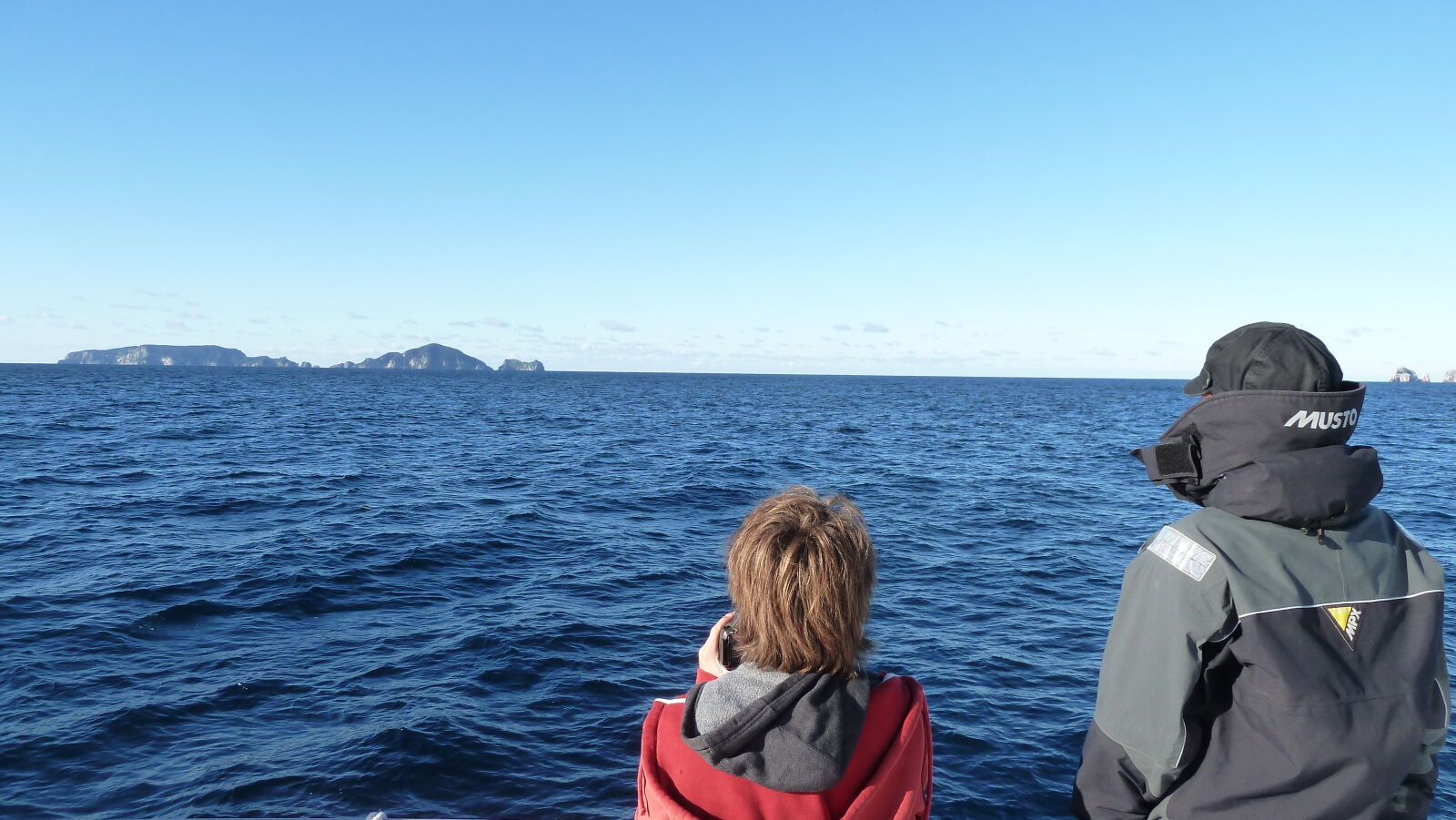 Nochmal whale watching.