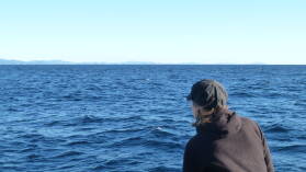 Whale watching.