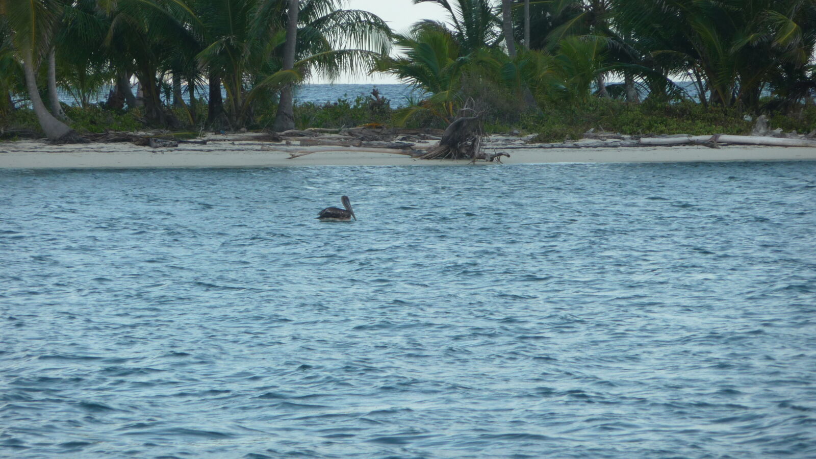 Miriadup, West Lemmon Cays.