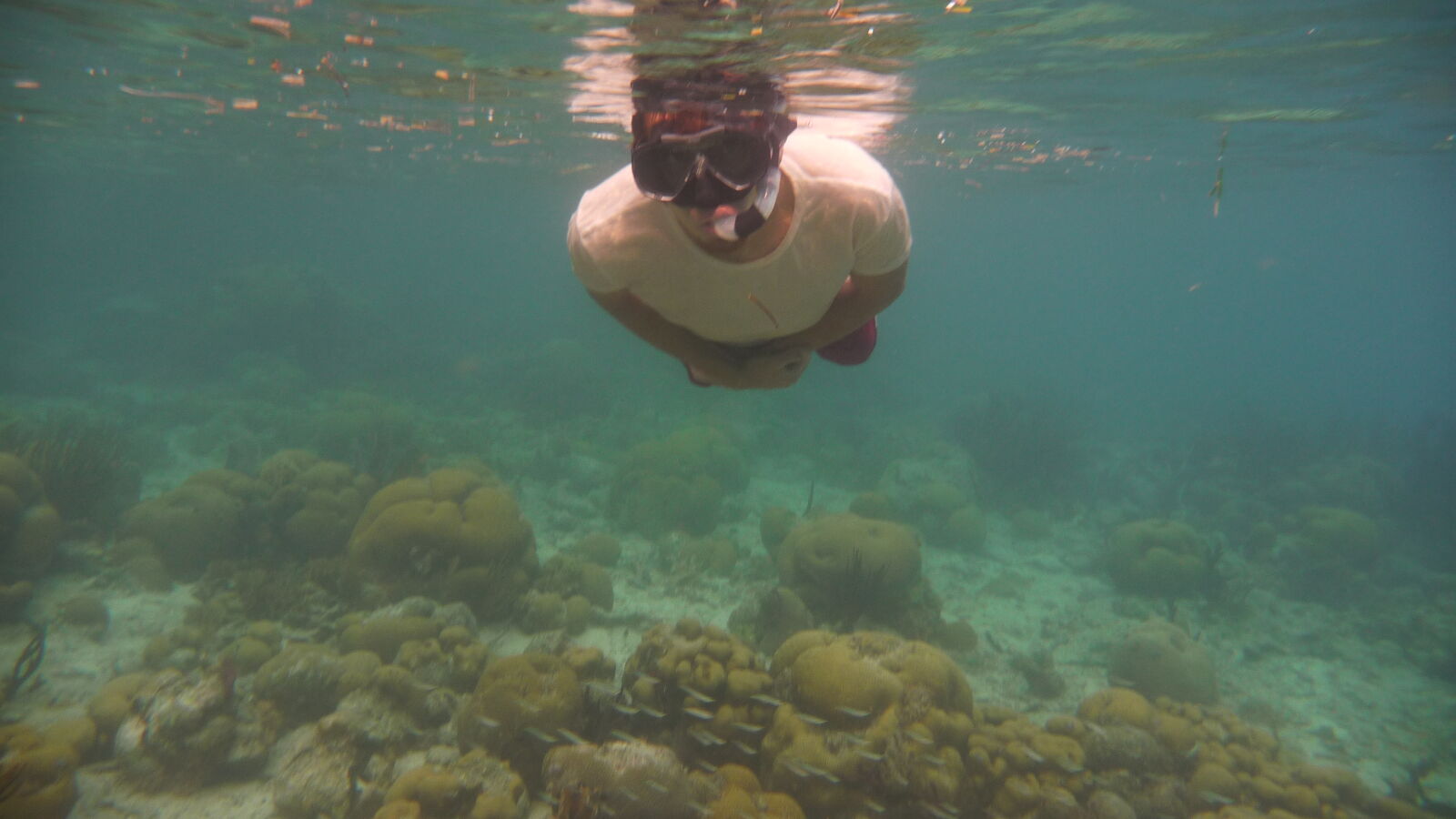 Schnorcheln bei Tiadup, West Lemmon Cays.