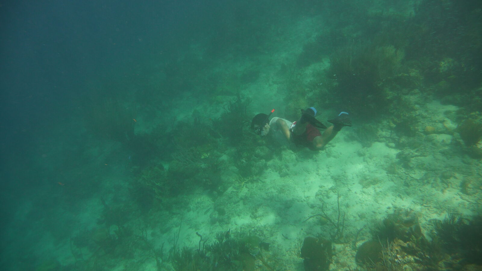 Schnorcheln bei Miriadup, West Lemmon Cays.