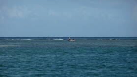 Kuna, West Lemmon Cays.