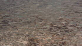 Schnorcheln bei Miriadup, West Lemmon Cays.