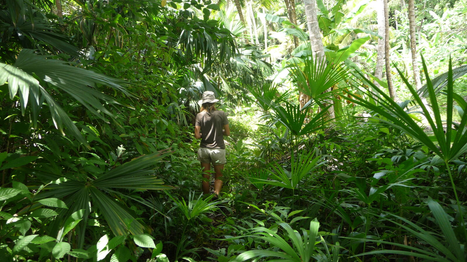 Puerto Escoses.