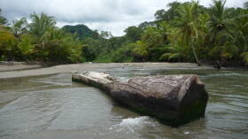 Aufgegebenes Ulu-Projekt, Puerto Escoses.