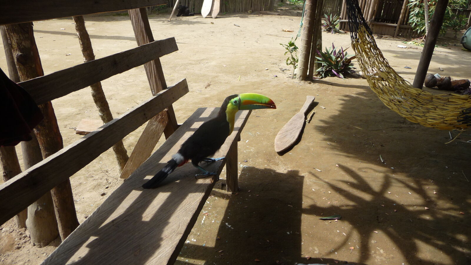 Gegenbesuch.