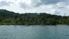 Puerto Perme.
