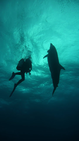 Rangiroa, Tuamotus (F)