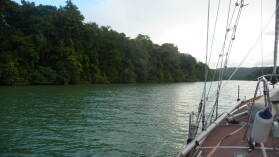 Im Rio Chagres.