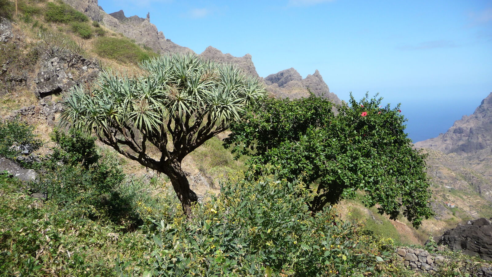 Wanderung von Praia Branca nach Faja de Cima, Sao Nicolau