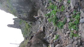 Wanderung von Praia Branca nach Faja de Cima, Sao Nicolau
