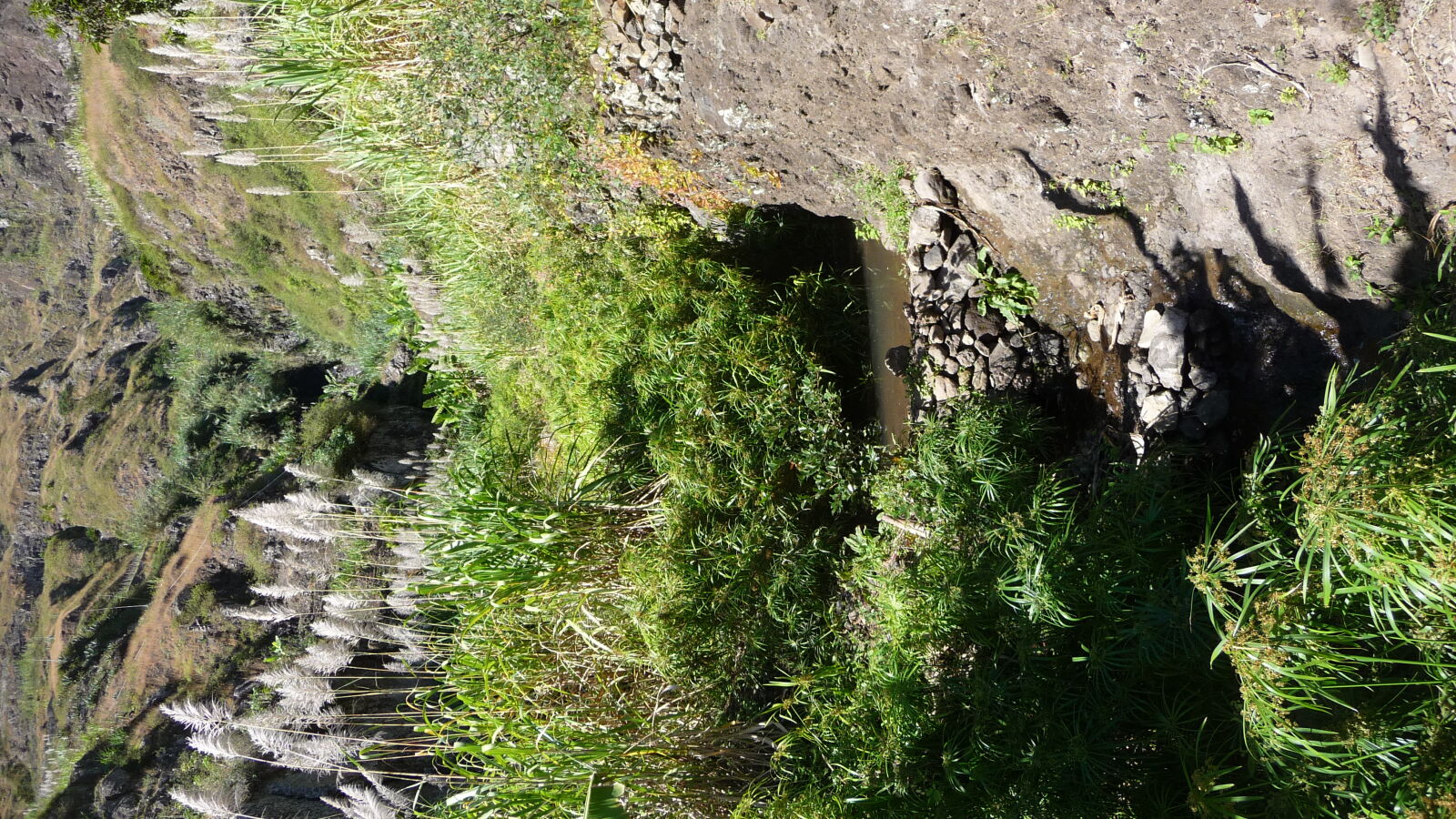 Ribeira do Paul / Santo Antao.