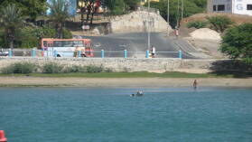 Pferd im Hafen von Mindelo / Sao Vicente.