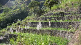 Ribeira do Paul / Santo Antao.