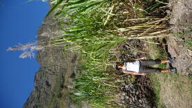 Ribeira do Paul / Santo Antao.