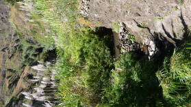 Ribeira do Paul / Santo Antao.
